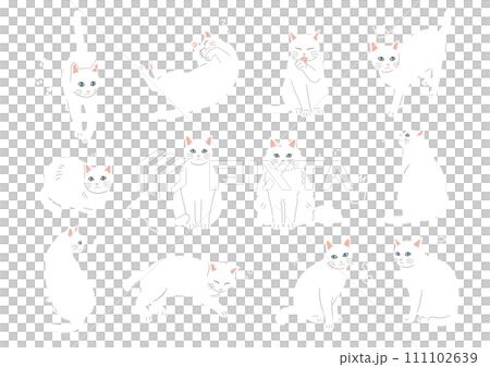 シンプルでかわいい白猫のイラストセット 111102639
