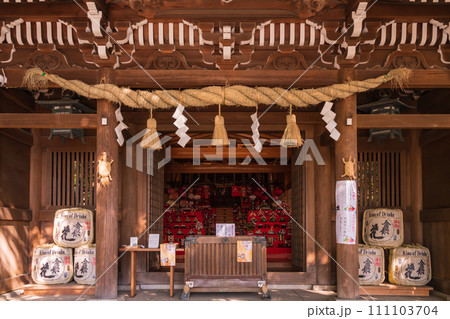 春の堤治神社、美濃地の雛祭〈愛知県一宮市〉 111103704