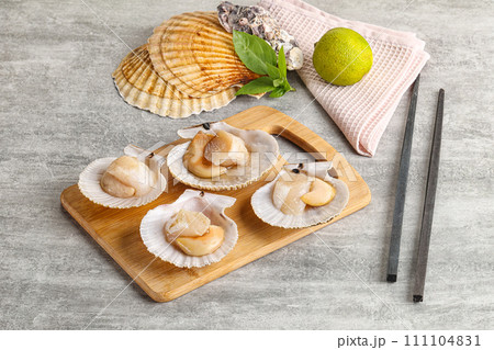 Raw natural scallop in its shell Raw natural scallop in its shell 111104831