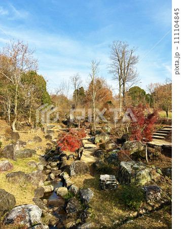 紅葉に包まれた公園 111104845