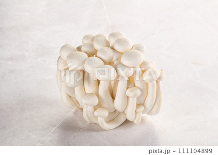 Japanese Shimeji mushroom for cooking 111104899