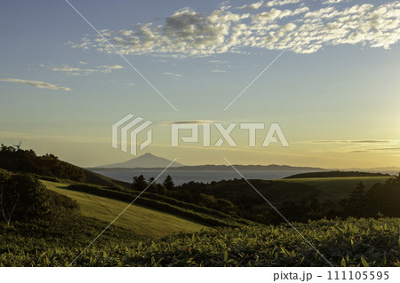 夕焼けに染まる利尻岳 111105595