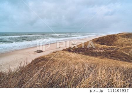 Cloudy winter day at danish coast Cloudy winter day at danish coast 111105957