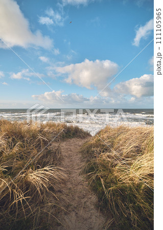 Path through the Dunes to the north sea coast Path through the Dunes to the north sea coast 111105965