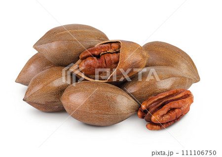 pecan nut isolated on white background with full depth of field 111106750