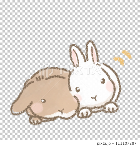 寄り添うかわいいうさぎのイラスト 111107287