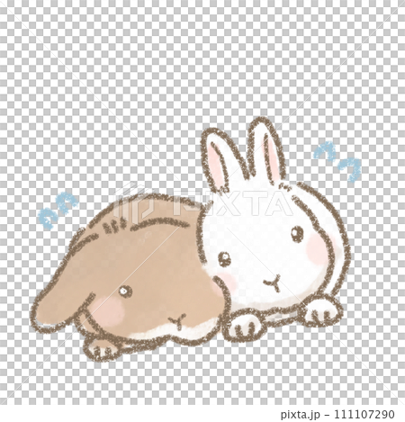 困るうさぎのかわいいイラスト 111107290
