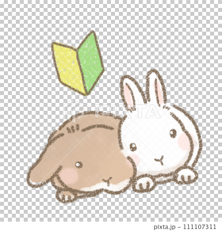 Illustration of a rabbit with a beginner mark Illustration of a rabbit with a beginner mark 111107311