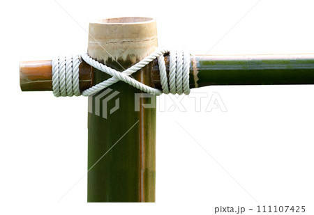 Layers of rope tied around a bamboo log isolated on white background. 111107425