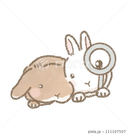 虫眼鏡を持つうさぎのかわいいイラスト 111107507