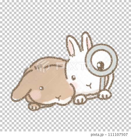 虫眼鏡を持つうさぎのかわいいイラスト 111107507