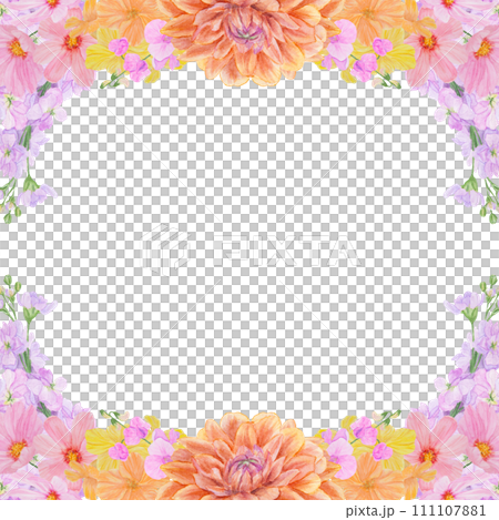 Watercolor botanical colorful frame of summer and autumn flowers: orange dahlia, lathyrus, gillyflower, yellow nasturtium, pink cosmos. Good for wedding print products, paper, invitations, greetings 111107881