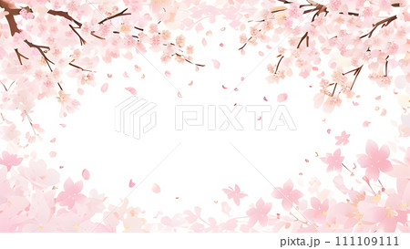 満開の桜の花の背景素材 111109111