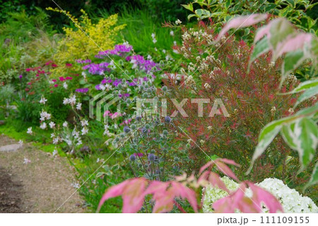 庭イメージ　春 111109155