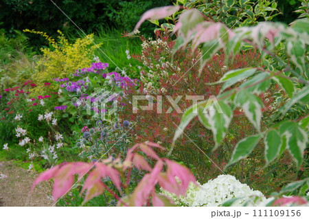 庭イメージ　春 111109156