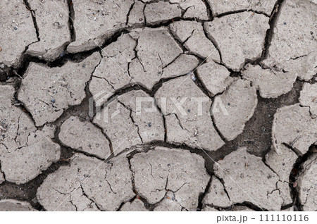 Ground cracked by hot weather. Global warming and drought concept. Natural background with copy space. Ground cracked by hot weather. Global warming and drought concept. Natural background with copy space. 111110116