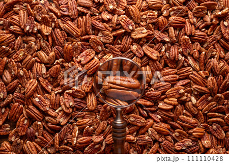 Pecan nuts pile, above view, full frame background Pecan nuts pile, above view, full frame background 111110428