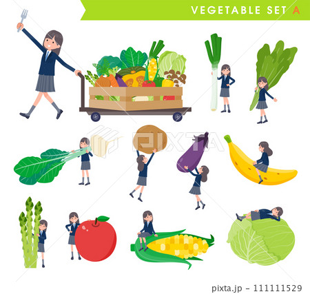 野菜と紺ブレザー女子学生のセット。Aタイプ 111111529