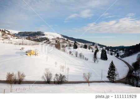 Winter landscape with curvy road 111111929