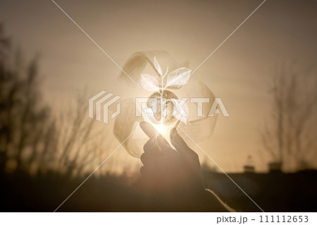 Concept for the promotion of world ecology and the greening. Concept for the promotion of world ecology and the greening. 111112653