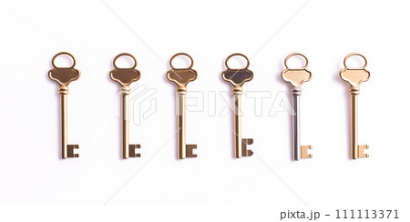 Banner with house keys close-up isolated on white background for buying, renting an apartment, a house. Concept for housewarming, real estate sale, construction 111113371