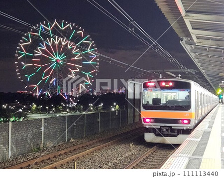 観覧車とE231系 111113440
