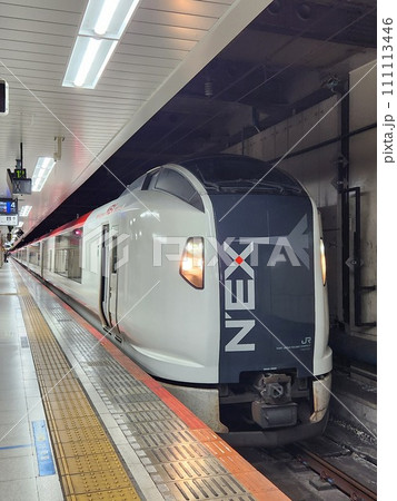 東京駅で発車を待つE259系 111113446