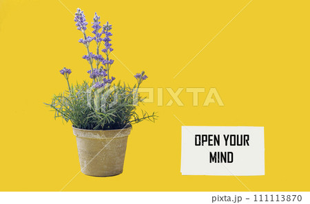 OPEN YOUR MIND text on a sticker and a yellow background, next to a vase with lavender. OPEN YOUR MIND text on a sticker and a yellow background, next to a vase with lavender. 111113870