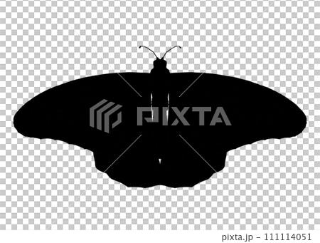 羽を広げた蝶のシルエット 111114051
