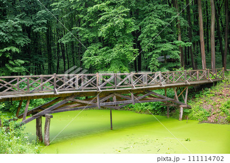 Wooden foot bridge over pond in Halych Ethnography museum, Ukraine. 111114702
