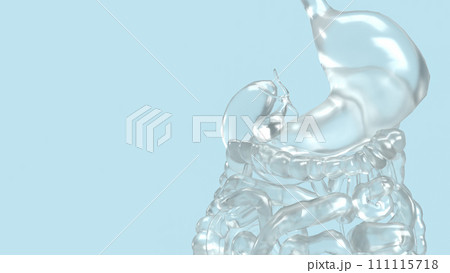 The Human viscera on blue background for health or sci concept 3d rendering. The Human viscera on blue background for health or sci concept 3d rendering. 111115718