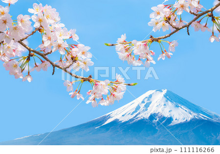 富士山と桜と青空・美しい日本の春のイメージ風景 111116266