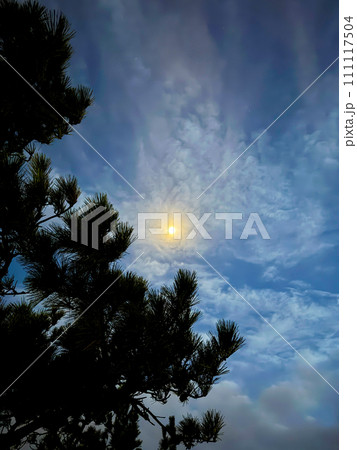 大自然の鮮やかな表情を捉えた写真 大自然の鮮やかな表情を捉えた写真 111117504