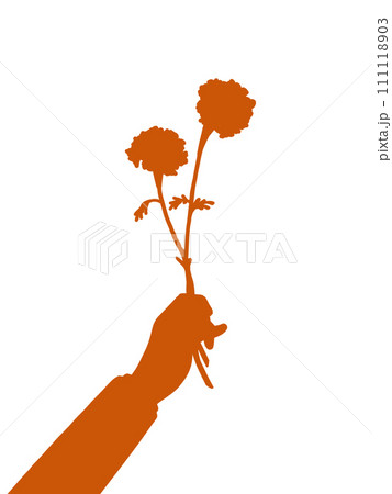 朱赤マリーゴールドの花束をプレゼントしている男性の腕 朱赤マリーゴールドの花束をプレゼントしている男性の腕 111118903