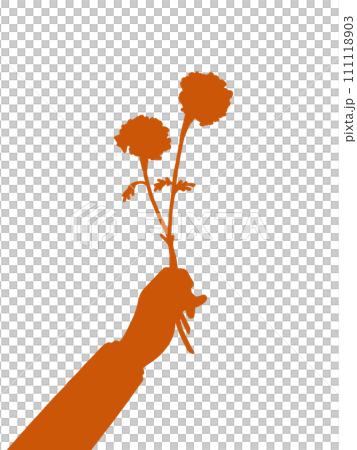 朱赤マリーゴールドの花束をプレゼントしている男性の腕 朱赤マリーゴールドの花束をプレゼントしている男性の腕 111118903