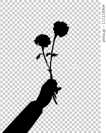The arm of a man presenting a bouquet of vermilion marigolds The arm of a man presenting a bouquet of vermilion marigolds 111118904