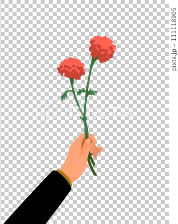 朱赤マリーゴールドの花束をプレゼントしている男性の腕 111118905