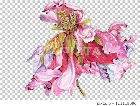 枯れた花のイラスト素材 - PIXTA
