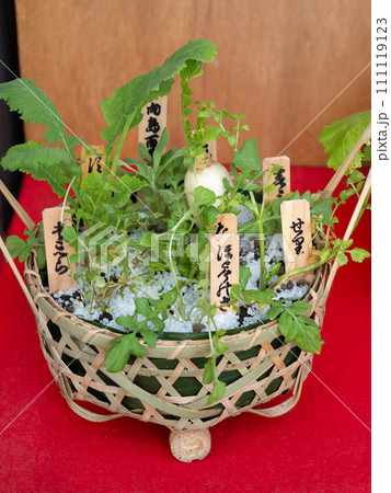 春の七草 七草かご 春の七草 七草かご 111119123