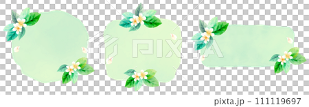 Watercolor leaves and flowers, frames vector illustration set, romantic and realistic botanical decoration illustration Watercolor leaves and flowers, frames vector illustration set, romantic and realistic botanical decoration illustration 111119697