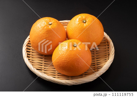 （愛媛県産）　宮内いよかん 111119755