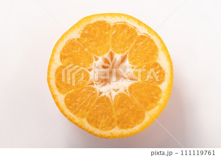 （愛媛県産）　宮内いよかん 111119761