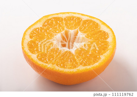 (愛媛県産) 宮内いよかん (愛媛県産) 宮内いよかん 111119762