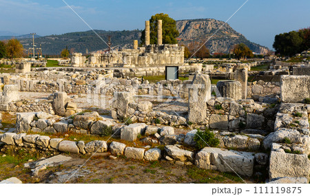 Ruins of temple in Letoon. Turkey Ruins of temple in Letoon. Turkey 111119875