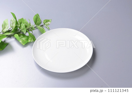 白いお皿 111121345