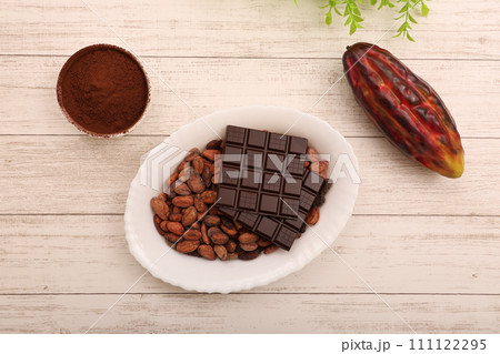 チョコレートとカカオビーンズ チョコレートとカカオビーンズ 111122295