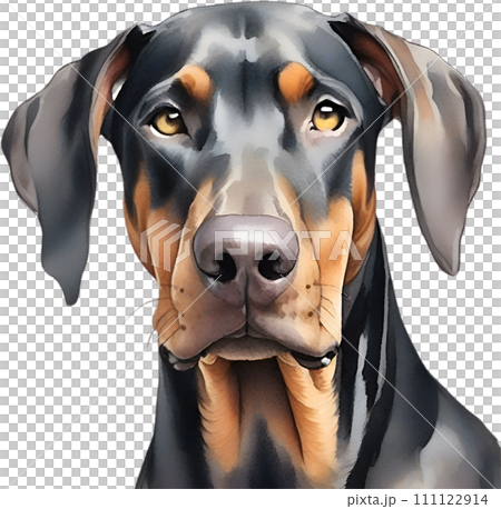Doberman Pinscher dog. Watercolor Clipart. Generative AI. 111122914