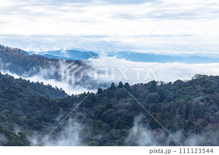 2024年1月29日　見事な雲海に覆われた奈良盆地　折り重なる青垣の山々と雲海　若草山の山頂にて 111123544