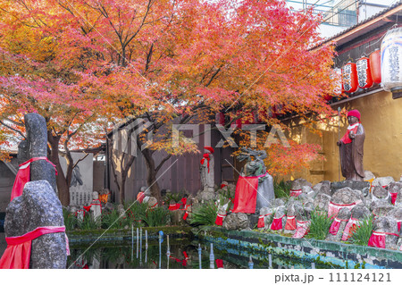 京都　引接寺 （千本ゑんま堂）　本堂裏にあるたくさんの地蔵と紅葉 111124121