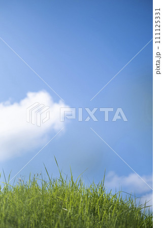 夏の爽やかな青空と草原 111125331